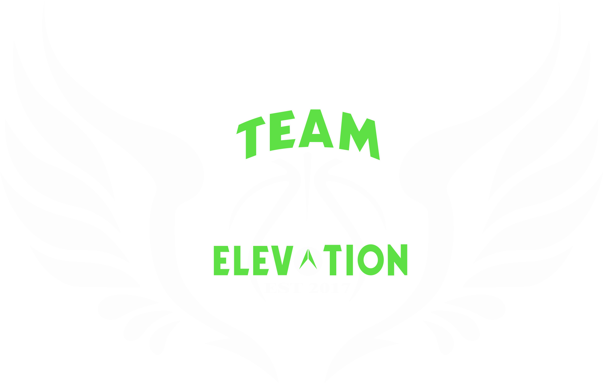 Team Elevation
